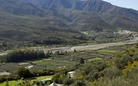 Guadalfeo Valley